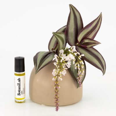 BotaniLab - Calm Roller - Shopfox