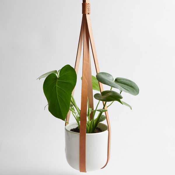acorn leather plant hanger with plant - Shopfox