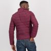GiLo Lifestyle Mens Burgundy Wine Short Puffer Jacket - back - Shopfox