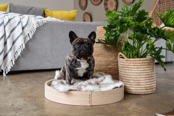 Jelico Brigitte Pet Bed - with dog - Shopfox