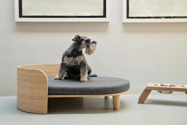 Jelico Dog bed Cooper - with dog - Shopfox