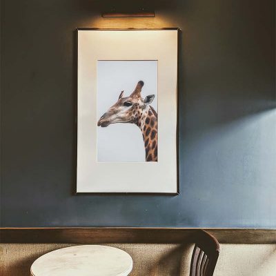 A Dozen and One - Giraffe and Friend Framed Print - Shopfox