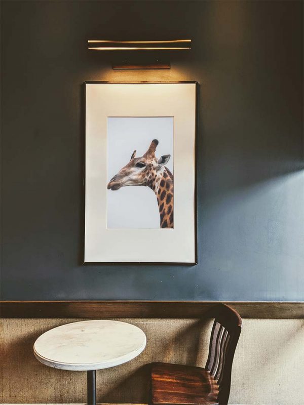 A Dozen and One - Giraffe and Friend Framed Print - Shopfox