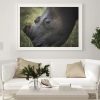 A Dozen and One - Rhino Face Framed Print - Shopfox