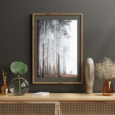 A Dozen and One - Misty Forest Framed Print - Shopfox
