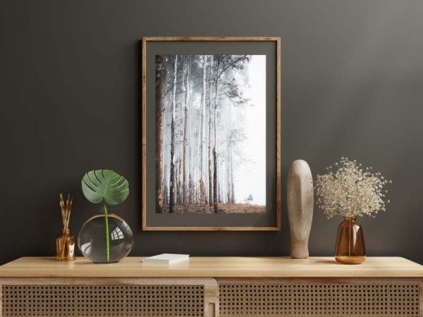 A Dozen and One - Misty Forest Framed Print - Shopfox