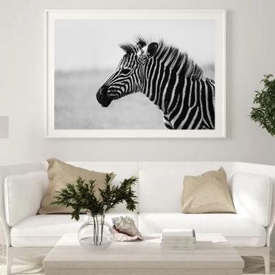 A Dozen and One - Zebra Foal Framed Print - Shopfox