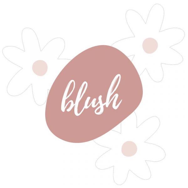 Stickit Designs - Small Blush Daisies Wall Stickers - Shopfox