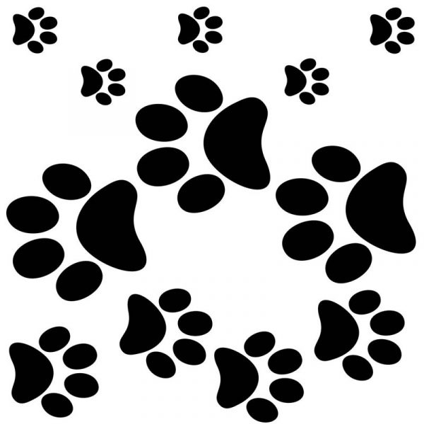 Stickit Designs - Dog Tracks Wall Stickers - Shopfox