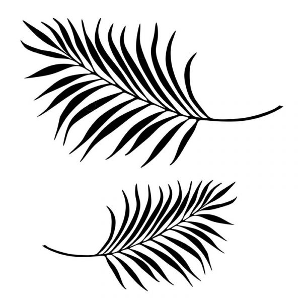 Stickit Designs - Black Palm Leaves Wall Stickers - Shopfox