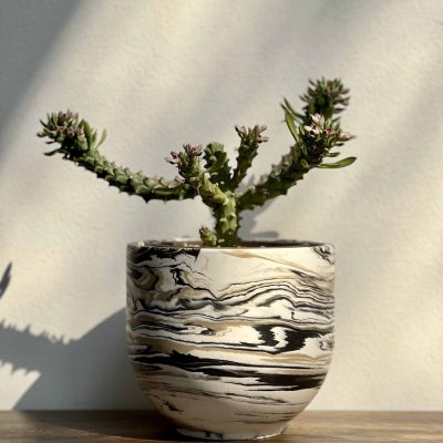 Casa Cosmos - Round Bottom Planter - Black and Beige - Shopfox