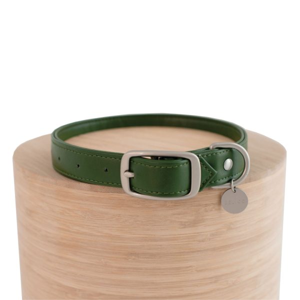 Cacto Dog Collar with Silver Trim - Cali Green - Shopfox