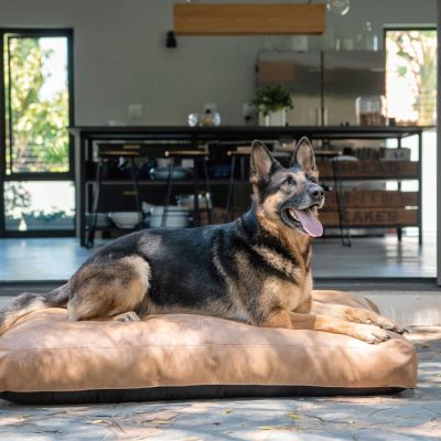 Jelico - Gunner Leather Dog Cushion - Tan - Shopfox
