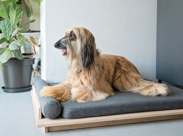 Jelico - Zen Bamboo Dog Bed - Charcoal - Shopfox