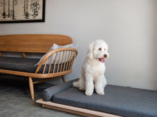 Jelico - Zen Bamboo Dog Bed - Charcoal -Shopfox