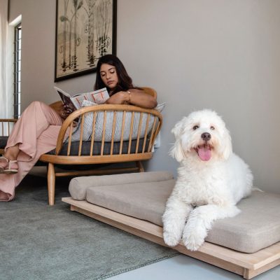 Jelico - Zen Bamboo Dog Bed - Oatmeal - Shopfox