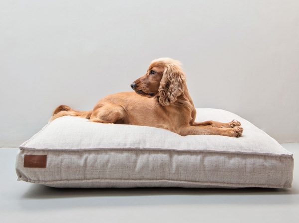 Jelico - Lulu Dog Cushion - Shopfox