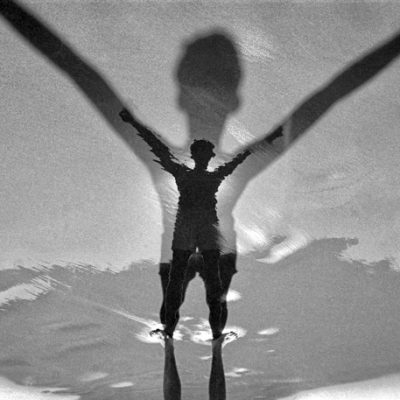 Vetch's Reflection - Shopfox